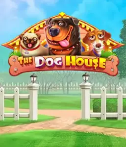 Pragmatic Play's The Dog House adventure, offering an adorable adventure into the world of charming canines. Engage in gameplay elements including free spins, perfect for providing exciting wins. Ideal for animal enthusiasts a cheerful theme and the opportunity to win big.