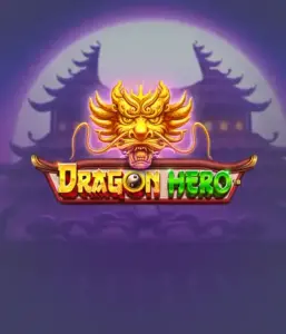 Join a fantastic quest with Dragon Hero by Pragmatic Play, highlighting vivid visuals of ancient dragons and epic encounters. Venture into a world where fantasy meets thrill, with featuring treasures, mystical creatures, and enchanted weapons for a mesmerizing gaming experience.