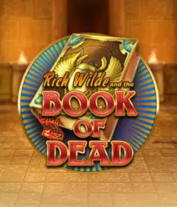 Embark on the thrilling world of Book of Dead Slot by Play'n GO, featuring vivid graphics of Rich Wilde's journey through ancient Egyptian tombs and artifacts. Uncover lost riches with captivating mechanics like free spins, expanding symbols, and a gamble option. Ideal for adventure enthusiasts with a desire for exciting finds.